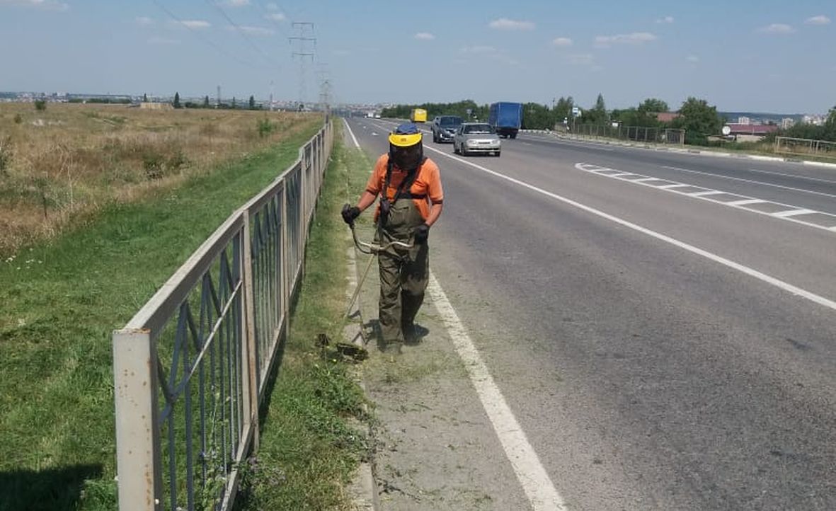    Крымавтодор уничтожает карантинные растения вдоль дорог