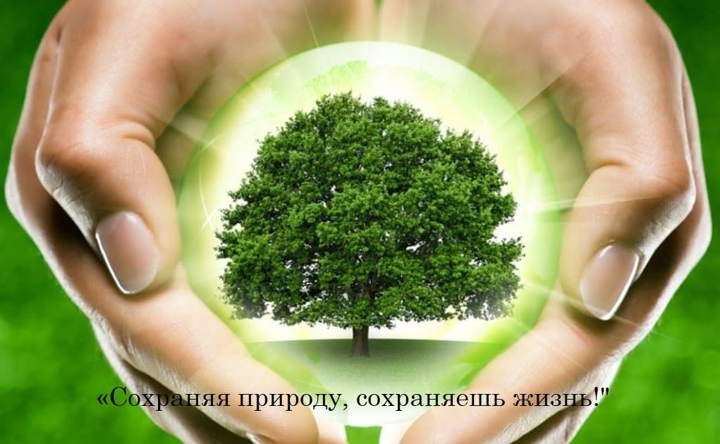 Экологическая акция по сбору макулатуры  - «Сохраняя природу, сохраняешь жизнь»!