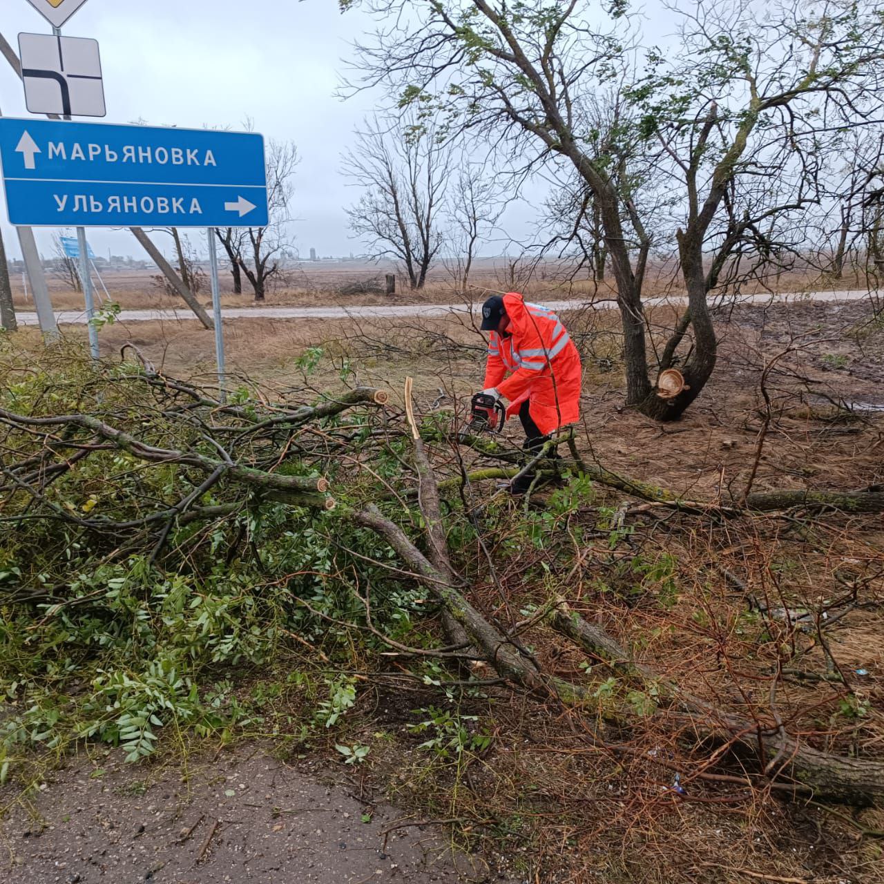  В некоторых районах Крыма ураганный ветер повалил деревья на дороги