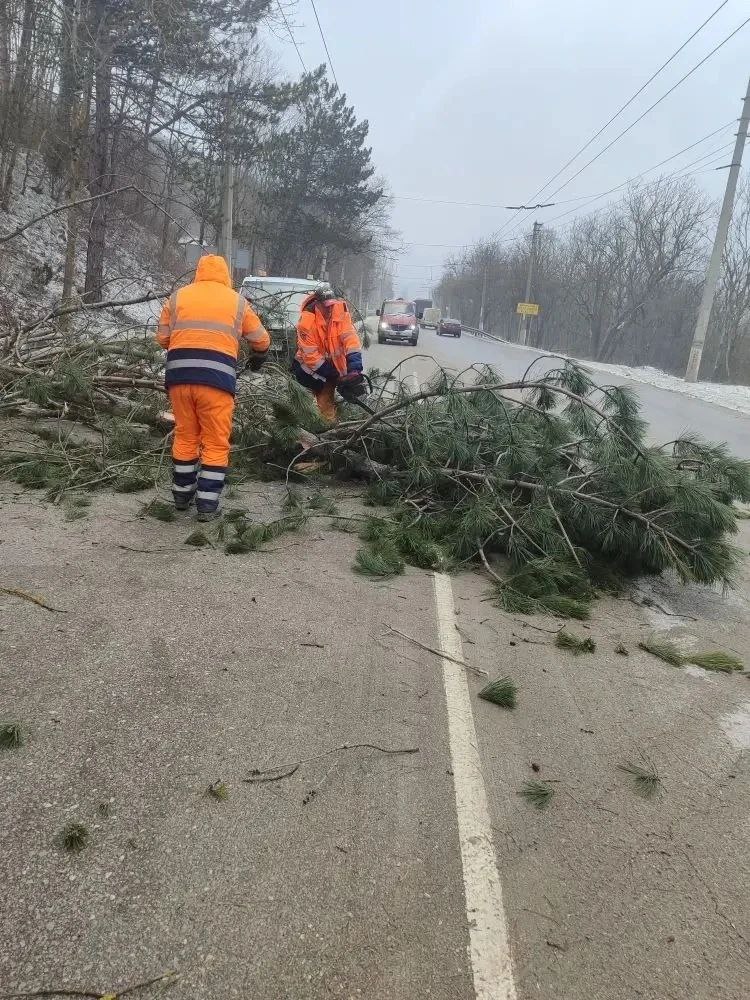 Продолжаются работы по уборке поваленных деревьев на дорогах Крыма